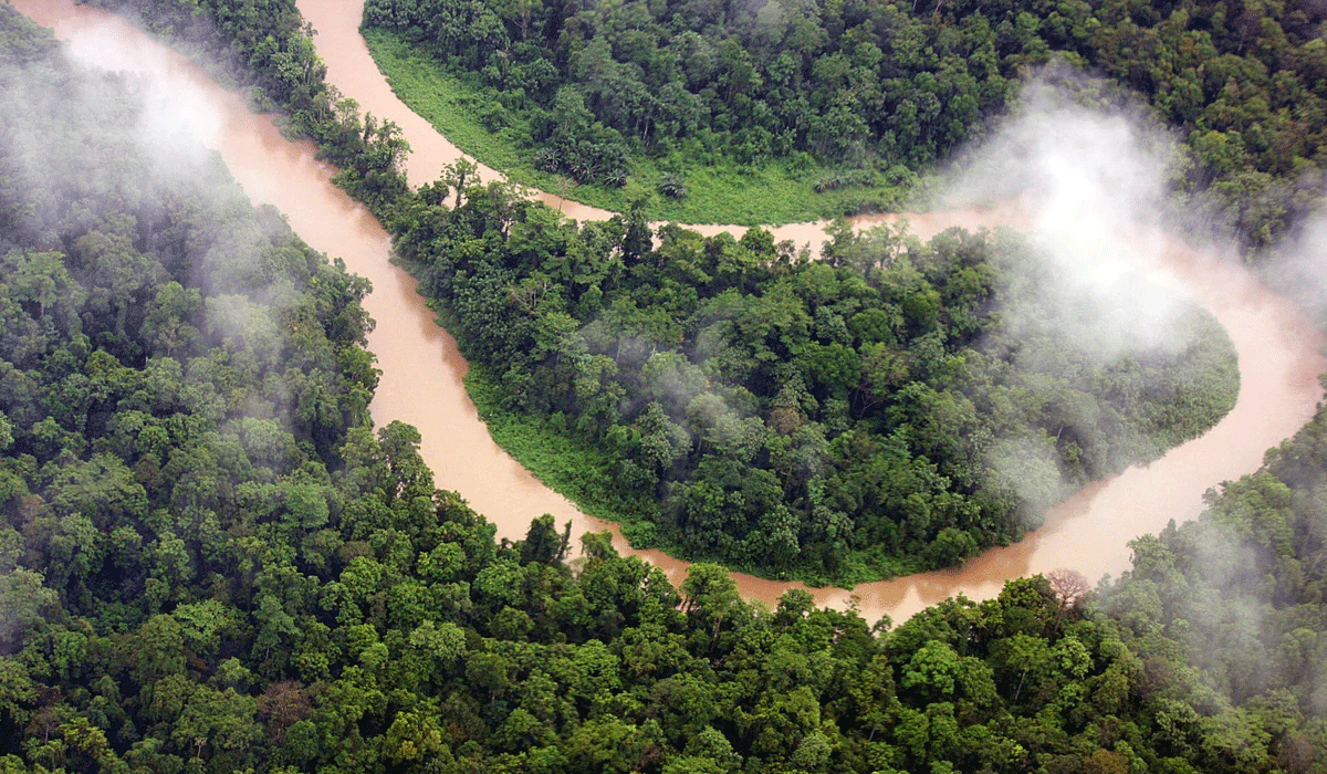 Atmospheric Sound and Visual Harmony