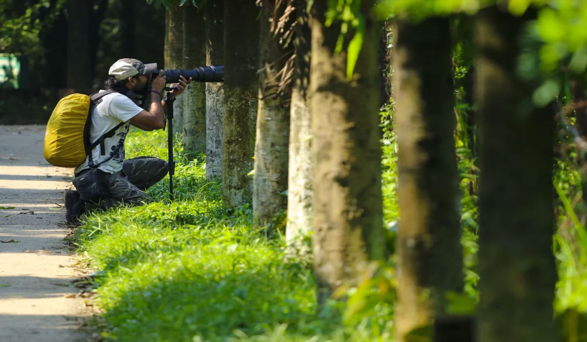 Capturing Stories: Exploring The World Of Professional Photography